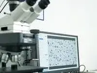 Металлографический анализ