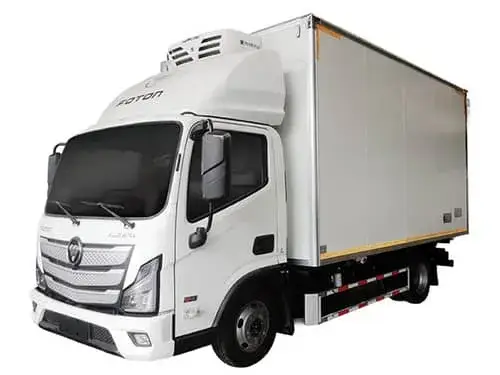 Малотоннажные грузовики (шасси Foton)