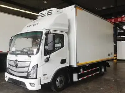 Малотоннажные грузовики (шасси Foton)